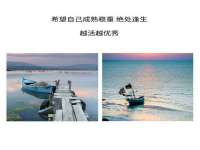 保定安双商贸有限公司