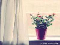 保定安双商贸有限公司