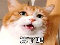 保定安双商贸有限公司