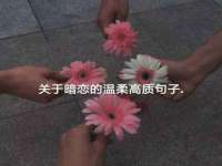 保定安双商贸有限公司