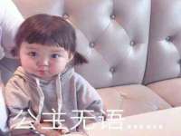 保定安双商贸有限公司