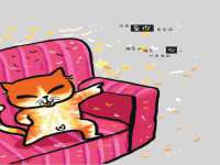 保定安双商贸有限公司