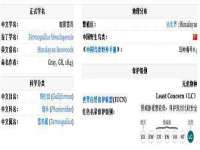 保定安双商贸有限公司