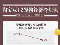 保定安双商贸有限公司