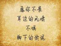 保定安双商贸有限公司