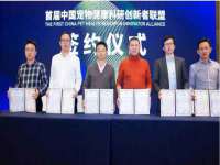 保定安双商贸有限公司