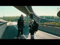 保定安双商贸有限公司