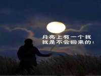 保定安双商贸有限公司