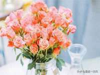 保定安双商贸有限公司